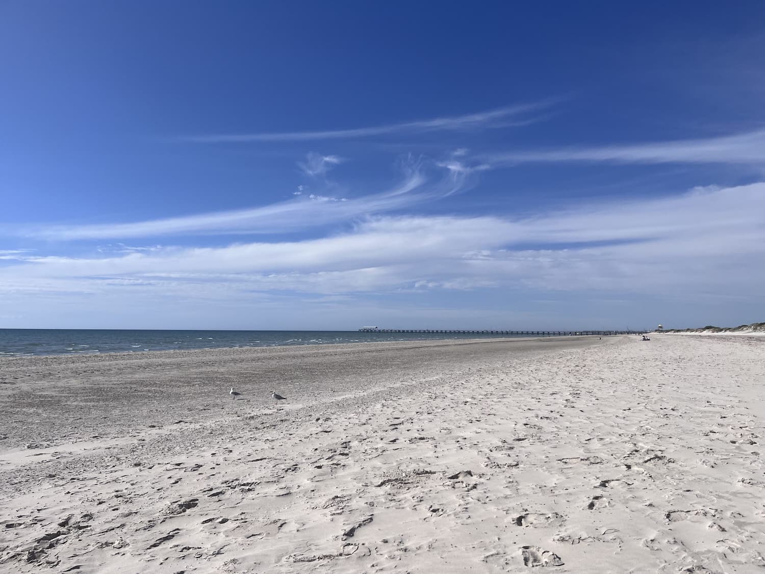 A sandy beach stretches into the distance under a clear blue sky. Seagulls are scattered on the shore, and a long pier extends out into the sea.